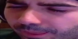 fahhLIZUN emote for Discord