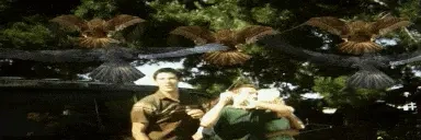 fbird emote for Discord