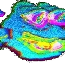 FEELSWAYTOOGOOD emote for Discord