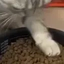 Feastin animated emote for Discord, Twitch and Slack