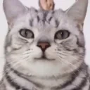 FeelsOkayMan emote for Discord