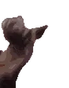 ferretJAM emote for Discord