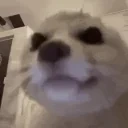 fenJAM emote for Discord