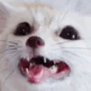 fenSpeak animated emote for Discord, Twitch and Slack