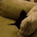 FekingAround emote for Discord