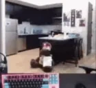 feinArrive emote for Discord