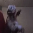 ferretJAM emote for Discord