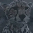 FeelsRainMan emote for Discord