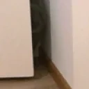 festusPeek emote for Discord