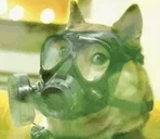 FeelsToxicDog emote for Discord