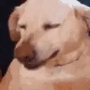 FeelsWeakMan emote for Discord