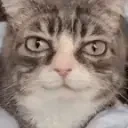 FeelsAlrightMan emote for Discord