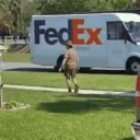 FedEx emote for Discord