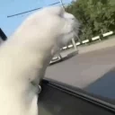 feelThat emote for Discord