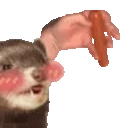 FerretSausageSpin emote for Discord