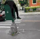 fentExorcist emote for Discord