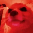 fenHYPERJAM emote for Discord