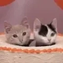 FeelsBirthdayMan emote for Discord