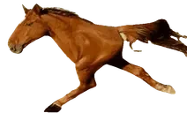 Ferd emote for Discord