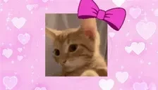 fembah emote for Discord