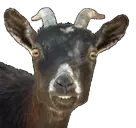 FearOfDosi emote for Discord