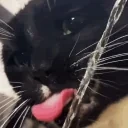 FelixHYDRATE emote for Discord