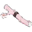 FETCH emote for Discord