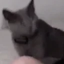 FelipeSiSi emote for Discord