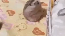 FellOff emote for Discord