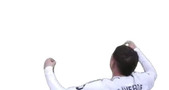 FEDE emote for Discord