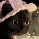 fengsheesha emote for Discord