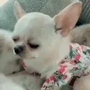 Feelsbad emote for Discord