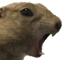 fluttLETSGO emote for Discord