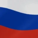 flagg emote for Discord