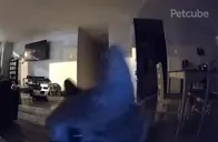 FLASHBANG emote for Discord