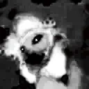 FlowerCatJAM emote for Discord