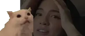 FLASHBANG emote for Discord