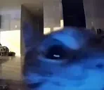 FlashbangShort emote for Discord