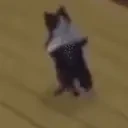 Flipit emote for Discord