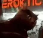 FlekiSneky emote for Discord