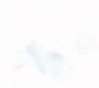 Flashbanged emote for Discord