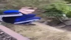 flotar emote for Discord