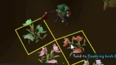 Flowering emote for Discord