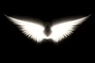 Fly2 emote for Discord