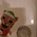 floatge emote for Discord