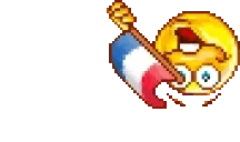 FlagOfSchleswigHolstein emote for Discord