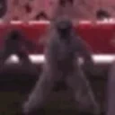 flappyarm2 emote for Discord