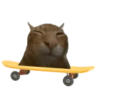 flipfail emote for Discord