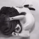 flashback emote for Discord