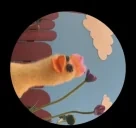 fleeferdance emote for Discord